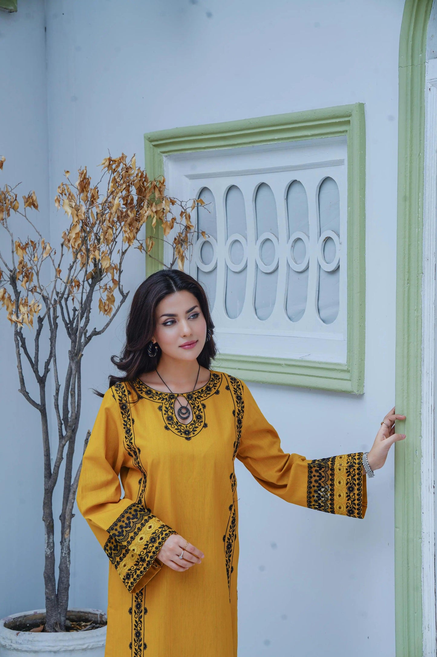 Embroidered Cambric Cotton 2pc ~ G1919 - Ghausia Collection